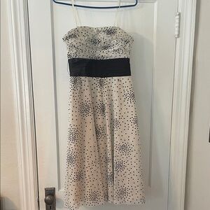 BCBG Max Azria Strapless Tule Polka Dot Dress with Black Sash and Bow